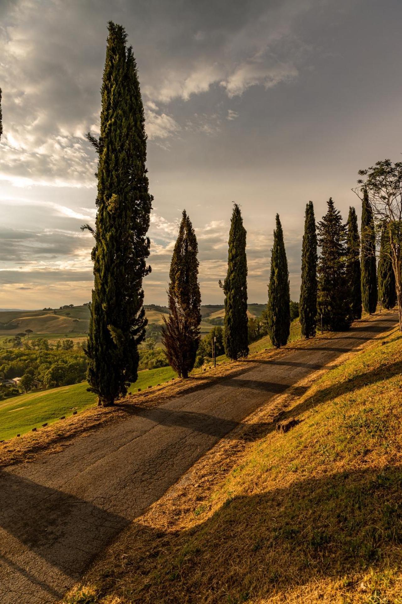 Agriturismo Percenna Buonconvento Kültér fotó