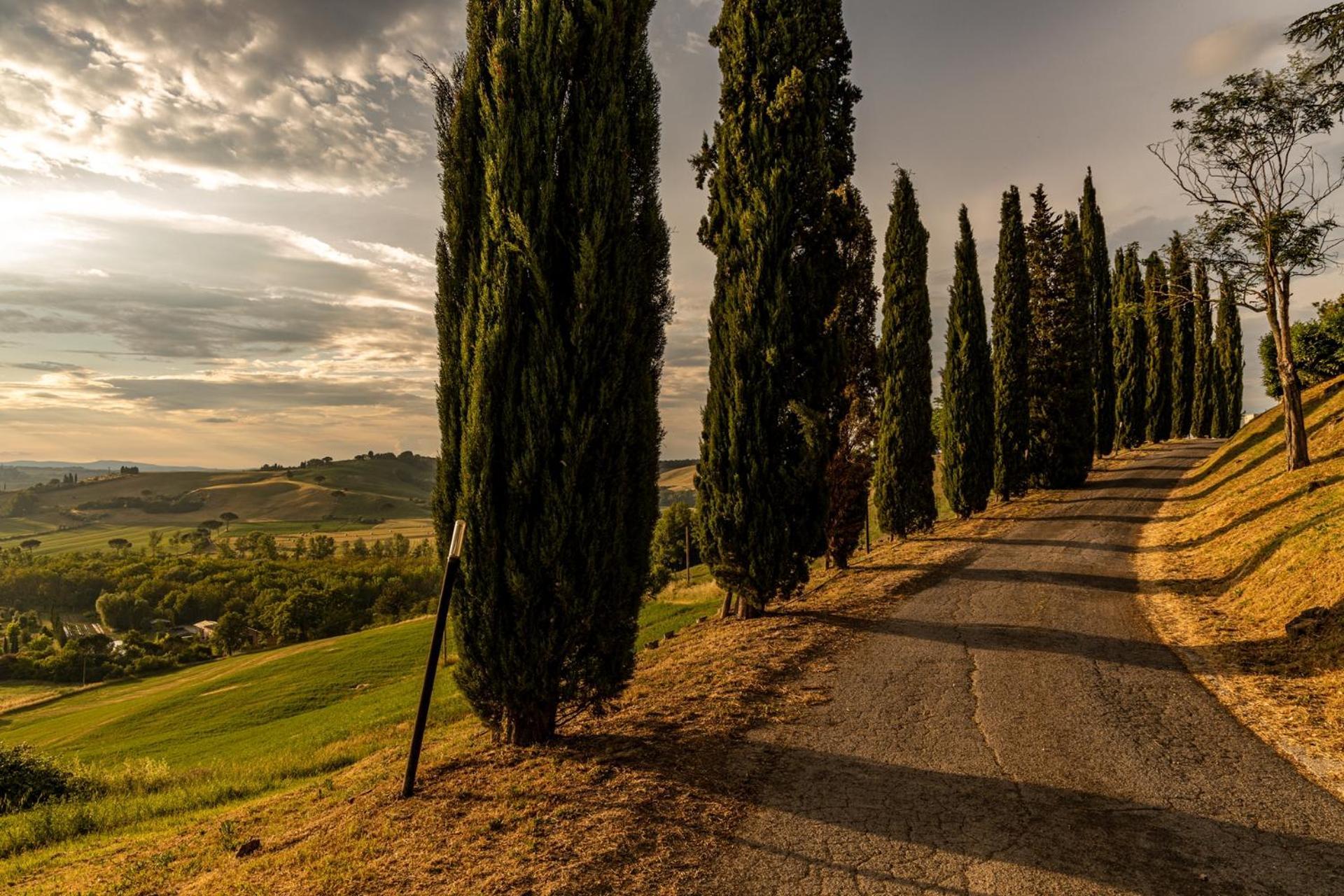 Agriturismo Percenna Buonconvento Kültér fotó