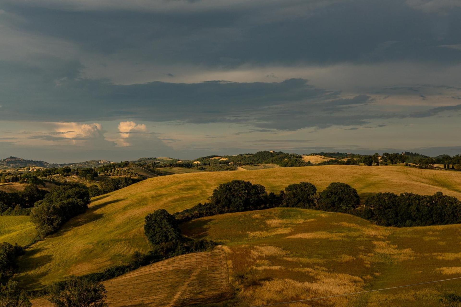Agriturismo Percenna Buonconvento Kültér fotó